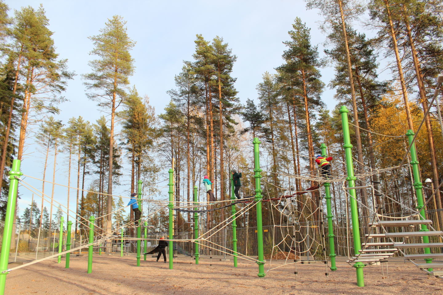 Heinzenpuistosta löytyvä yli 42 metrinen kiipeilyteline on saanut innoituksensa liito-oravilta 